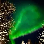 Free Auroras * Rovaniemi