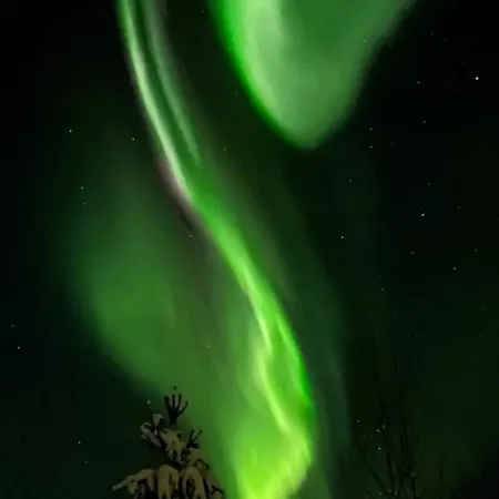 דירה Free Auroras