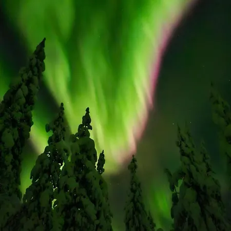 דירה Free Auroras