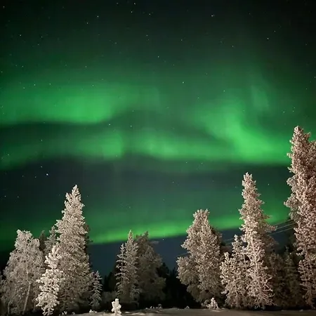 דירה Free Auroras *