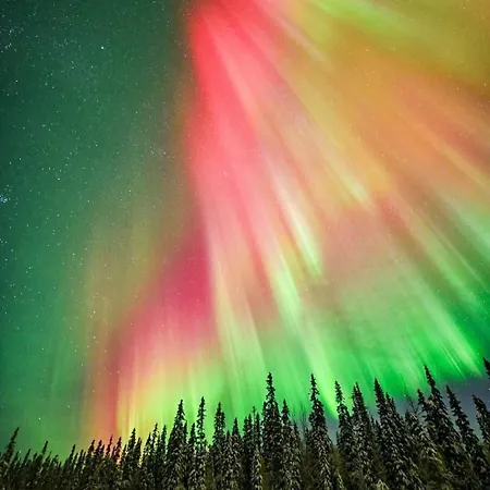 Free Auroras דירה רובניימי