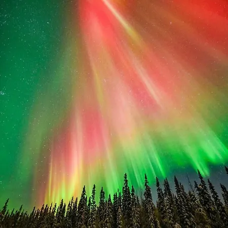 Free Auroras