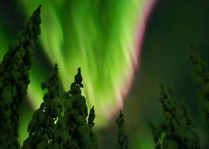 Апартаменты Free Auroras