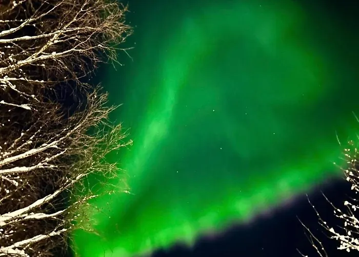 Free Auroras * Рованиеми